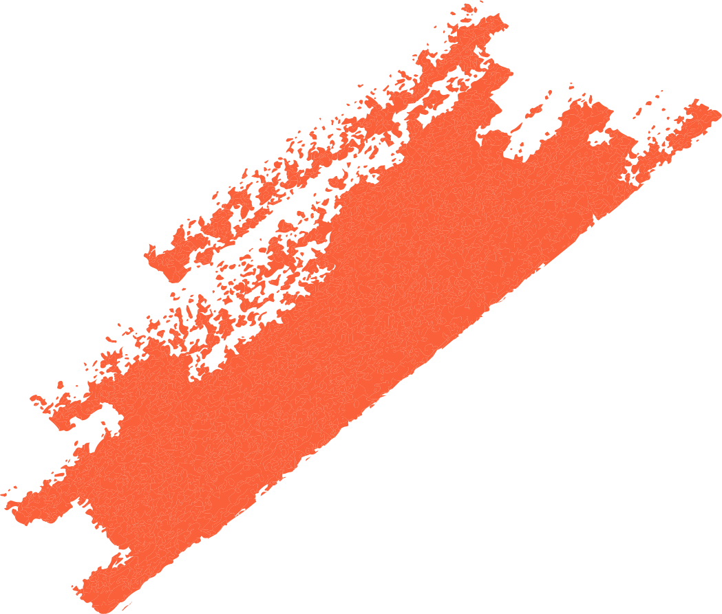 Brush