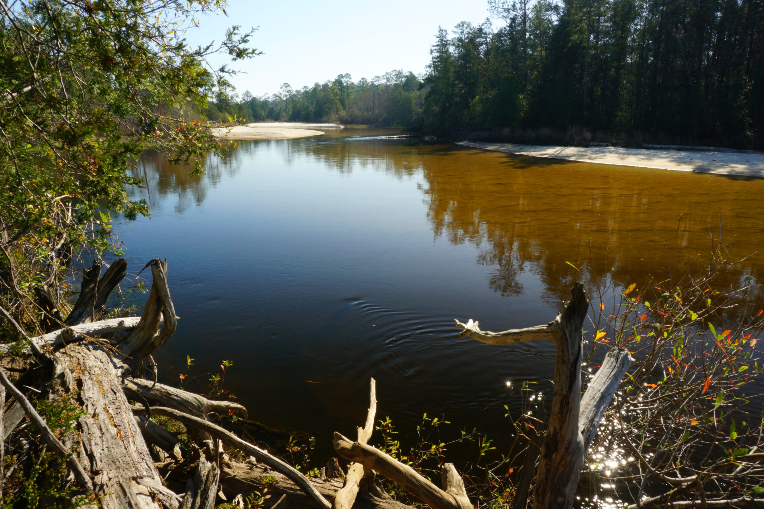 Blackwater River