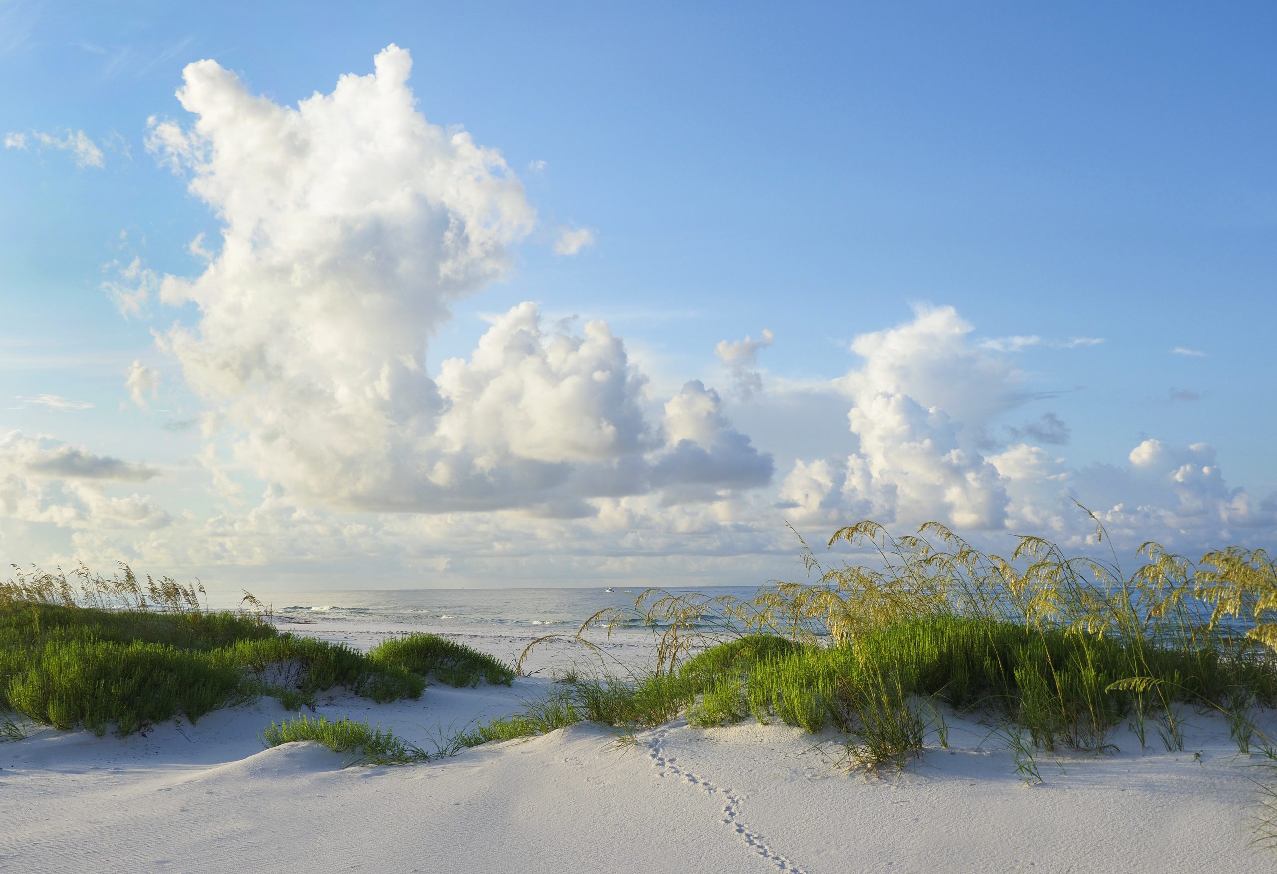 Pensacola Beach, Florida