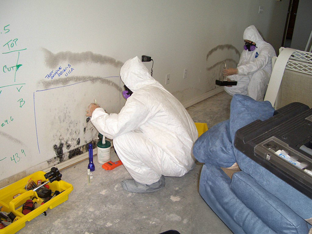BMC Technicians Analyze A Structure For Water Leak Detection And Moisture Intrusion Analysis.